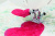 Juki HZL-NX7 (14) Juki HZL-NX7 (14)